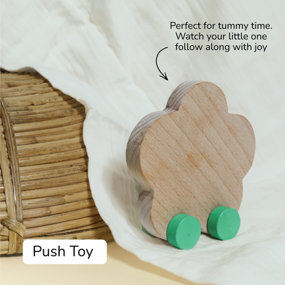 Baby Gift Set - Bageecha