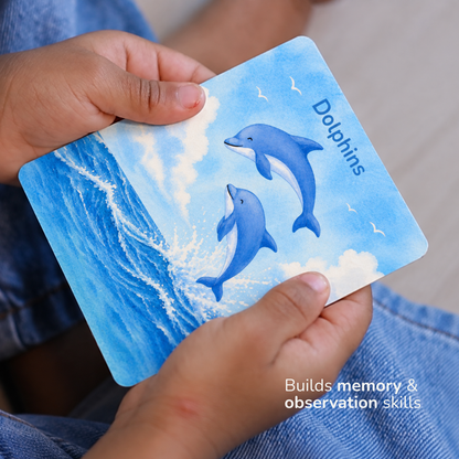 Card Game - Indian Sea Life