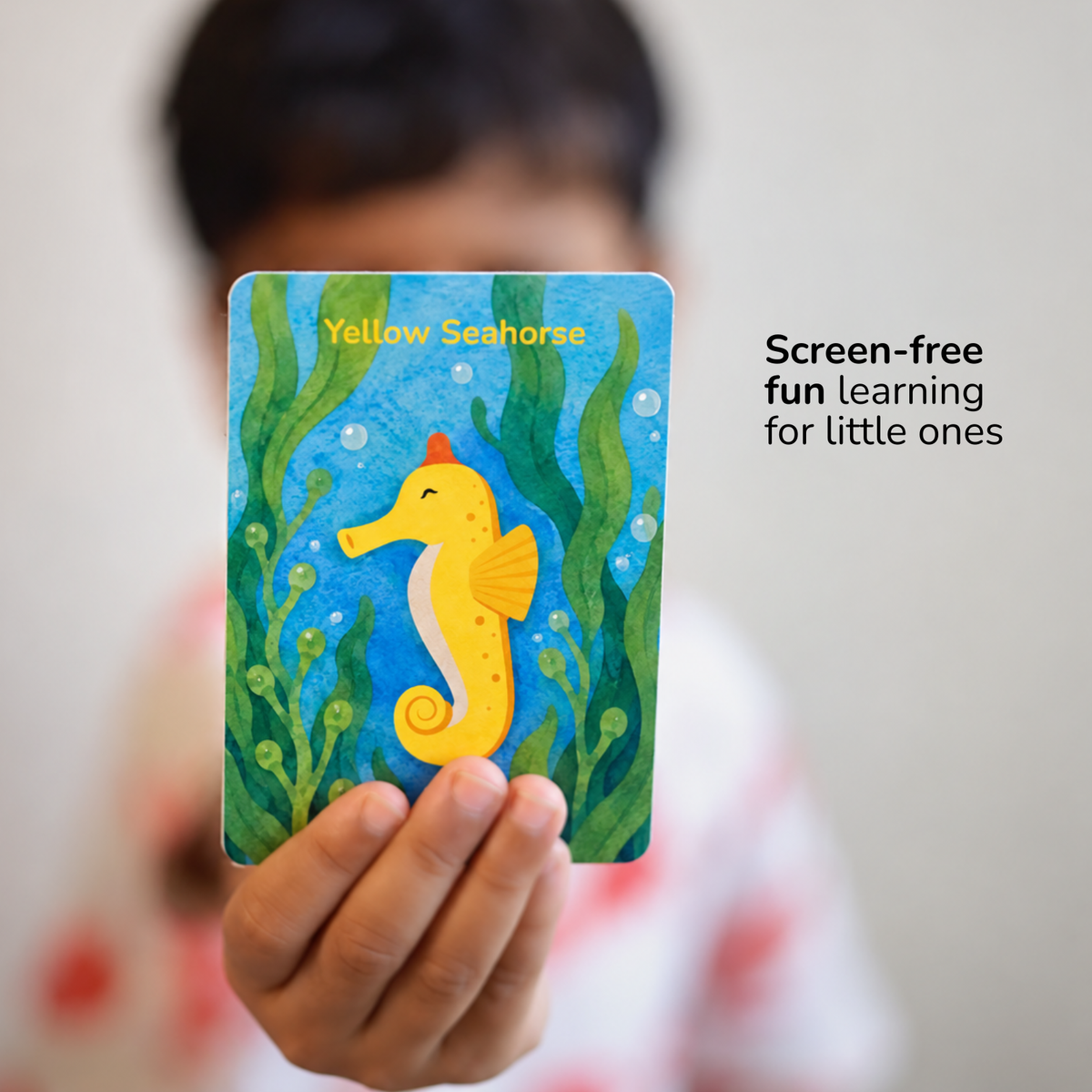 Card Game - Indian Sea Life