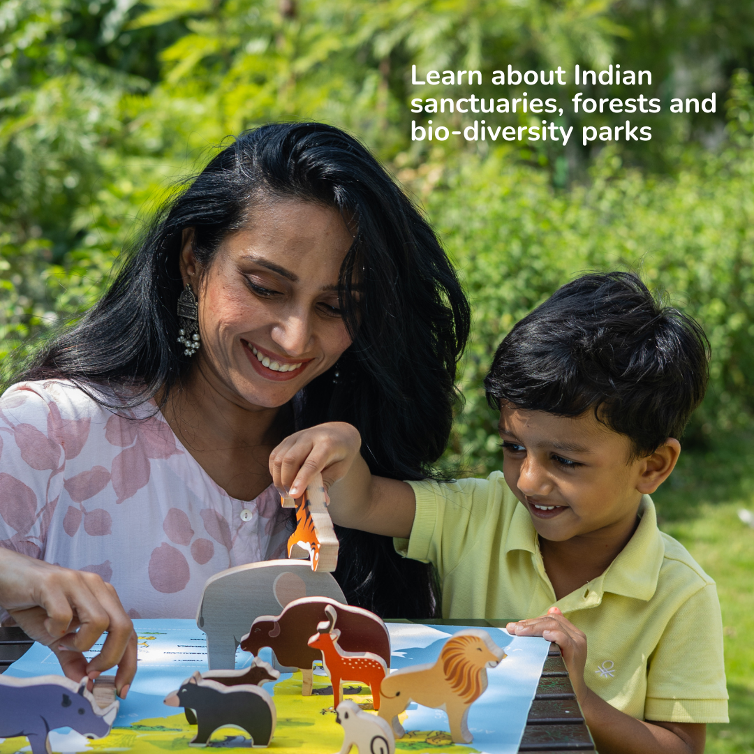 Once Upon A Jungle - 10 Animals, Play Mat & Storybook